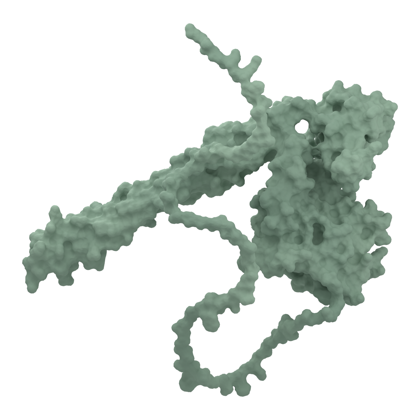 An enlarged sage-green molecular surface of Colicin E5, extending beyond the left edge of the page.